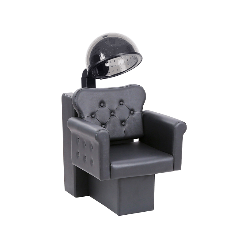 HZ9042 Professionell salongshårtork och stolkombination